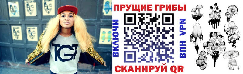 Псилоцибиновые грибы MAGIC MUSHROOMS  как найти   Хвалынск 